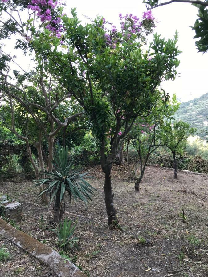 Casa Vacanze Via Convento Ξενοδοχείο Ficarra Εξωτερικό φωτογραφία